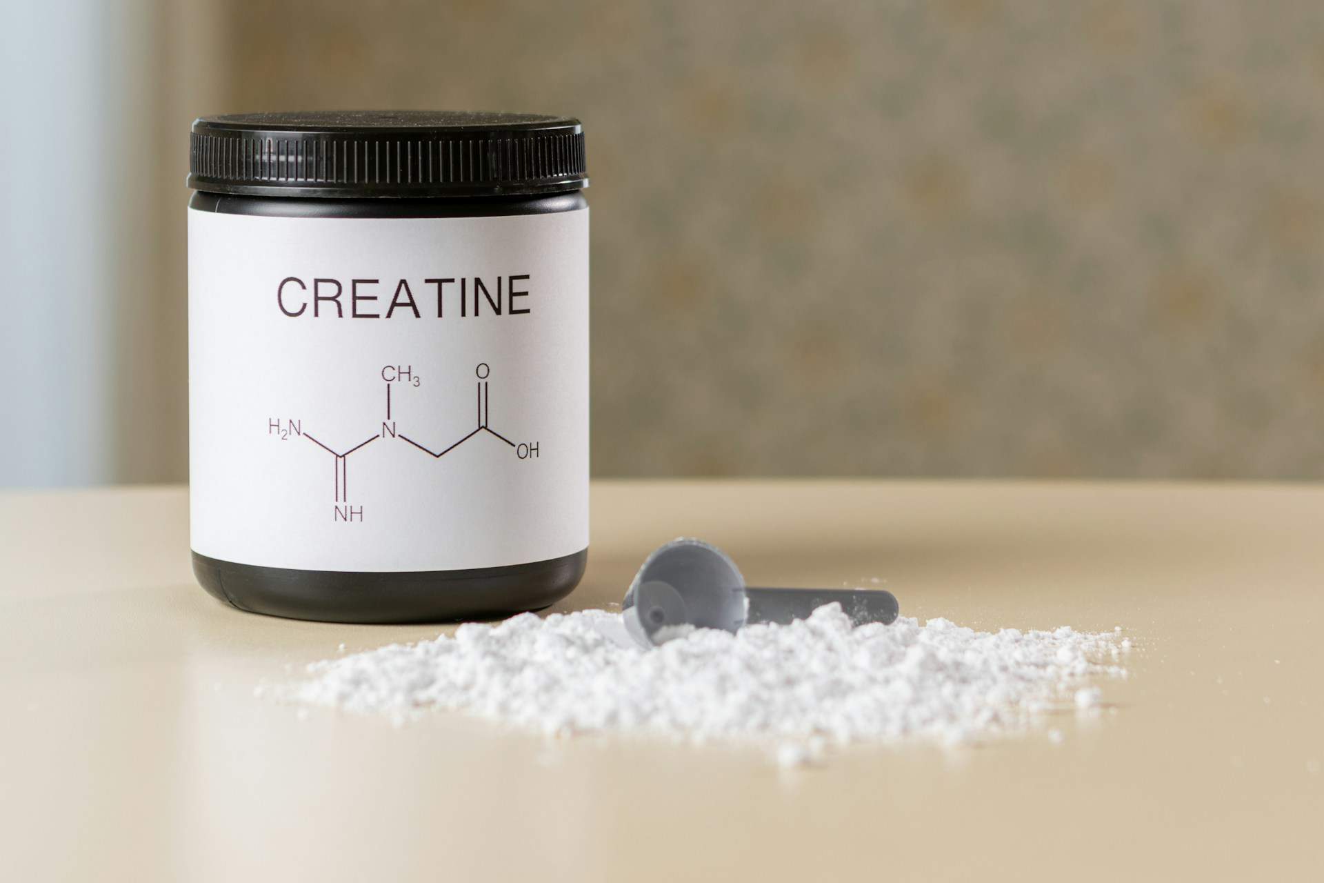 protein or creatine